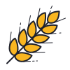 oats icon