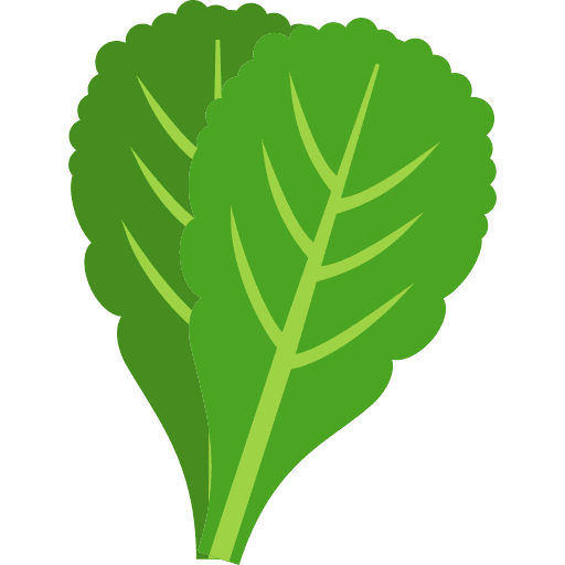 spinach icon